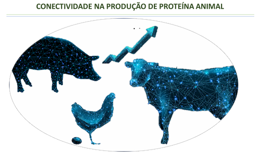 Conectividade na produção de proteína animal