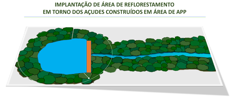 implantação área de reflorestamento